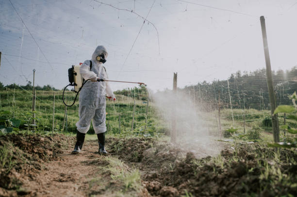 Best Mosquito Control Services  in Lone Tree, CO