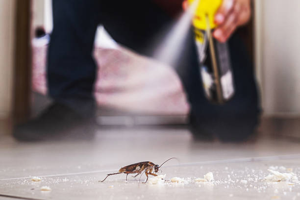 Trusted Lone Tree, CO Pest Control Experts