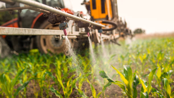 Best Pest Removal Services  in Lone Tree, CO
